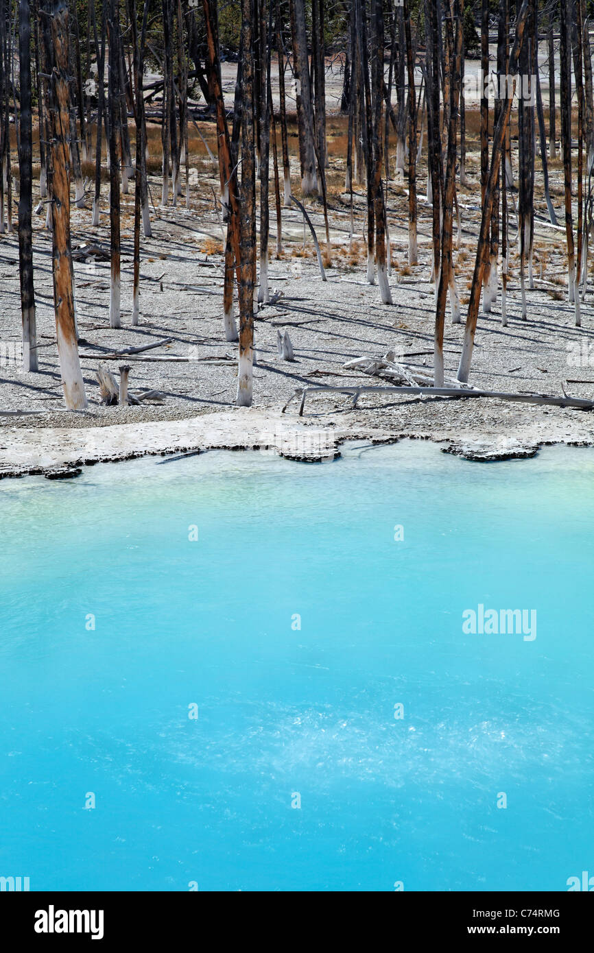 Rand der Zisterne Feder am Norris Geyser Basin, Yellowstone-Nationalpark, Wyoming, USA Stockfoto