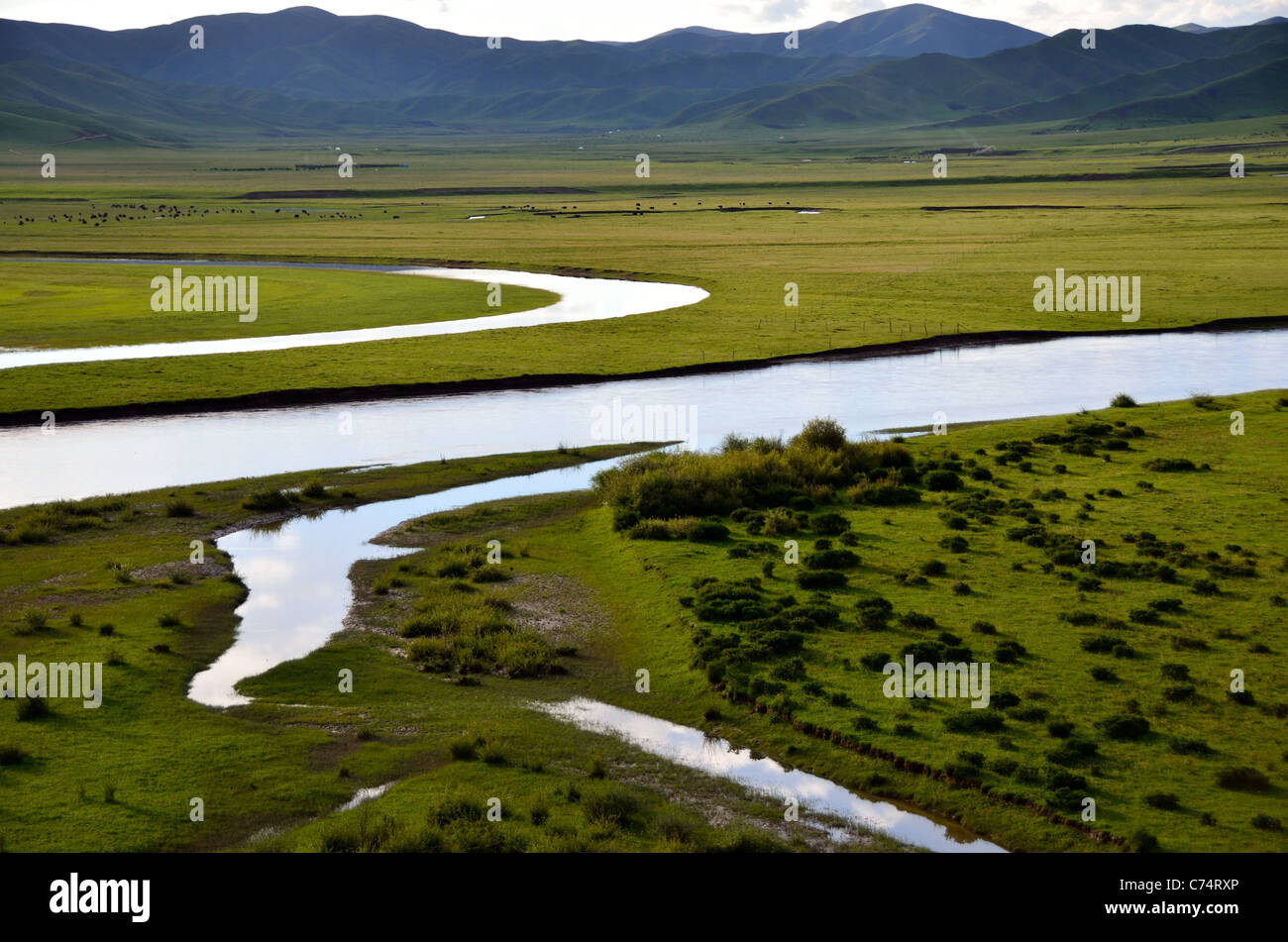 Mäandernden Fluss-Kanäle durch grüne Wiesen. Sichuan, China. Stockfoto