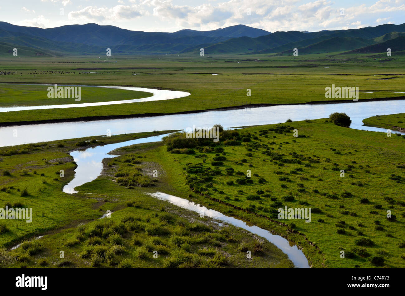 Mäandernden Fluss-Kanäle durch grüne Wiesen. Sichuan, China. Stockfoto