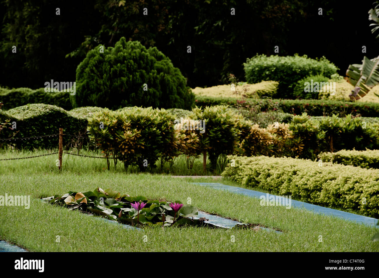 Garten Sie-Planung. Stockfoto