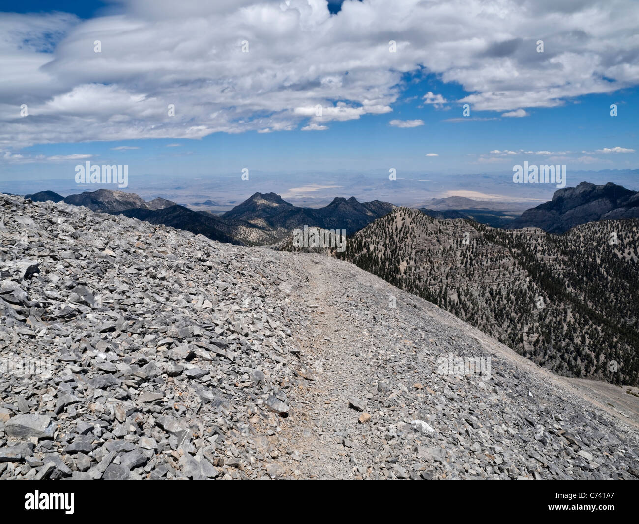 Mt-Charleston-Trail. 11.900 Fuß Höhe. Nur 30 Meilen von Las Vegas Nevada. Stockfoto