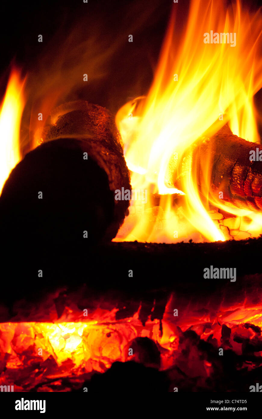 In einer kühlen Nacht in einer Feuerstelle brennende Stämme oder Camping Stockfoto