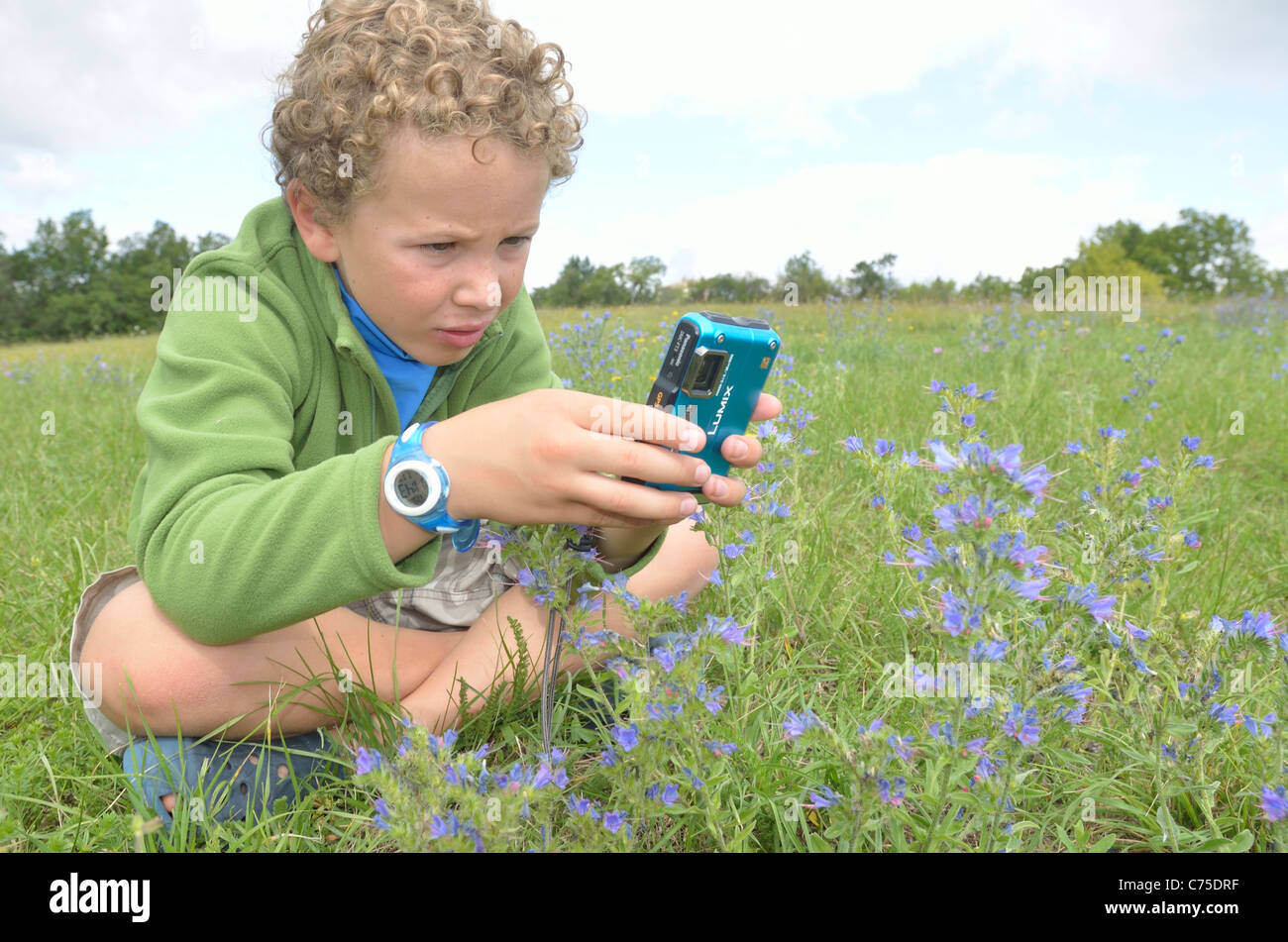 Kinder genießen Fotografieren von Bug und Tiere in einem Feld. Stockfoto