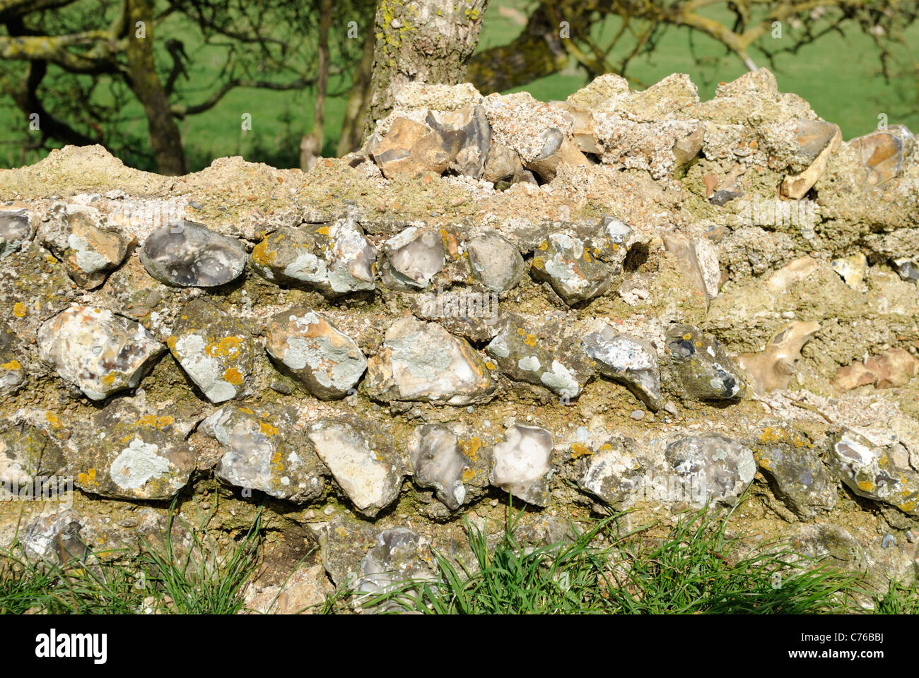 Eine Nahaufnahme von einer alten Ruinen Stein Wand in England. Stockfoto