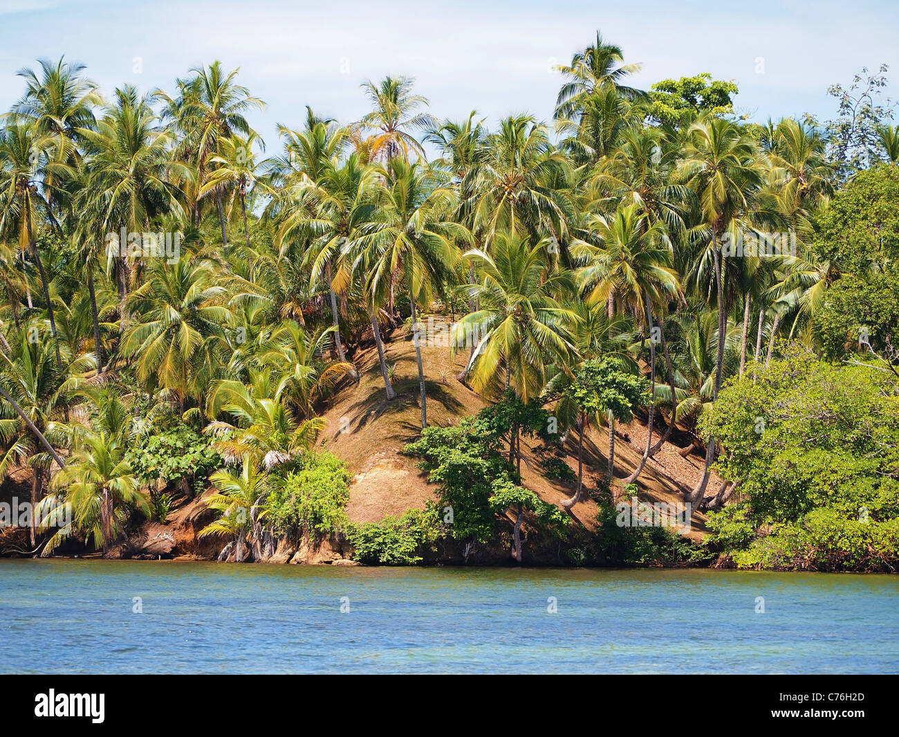 Insel mit Kokosnüssen Bäume in Bocas del Toro, Mittelamerika, Panama Stockfoto