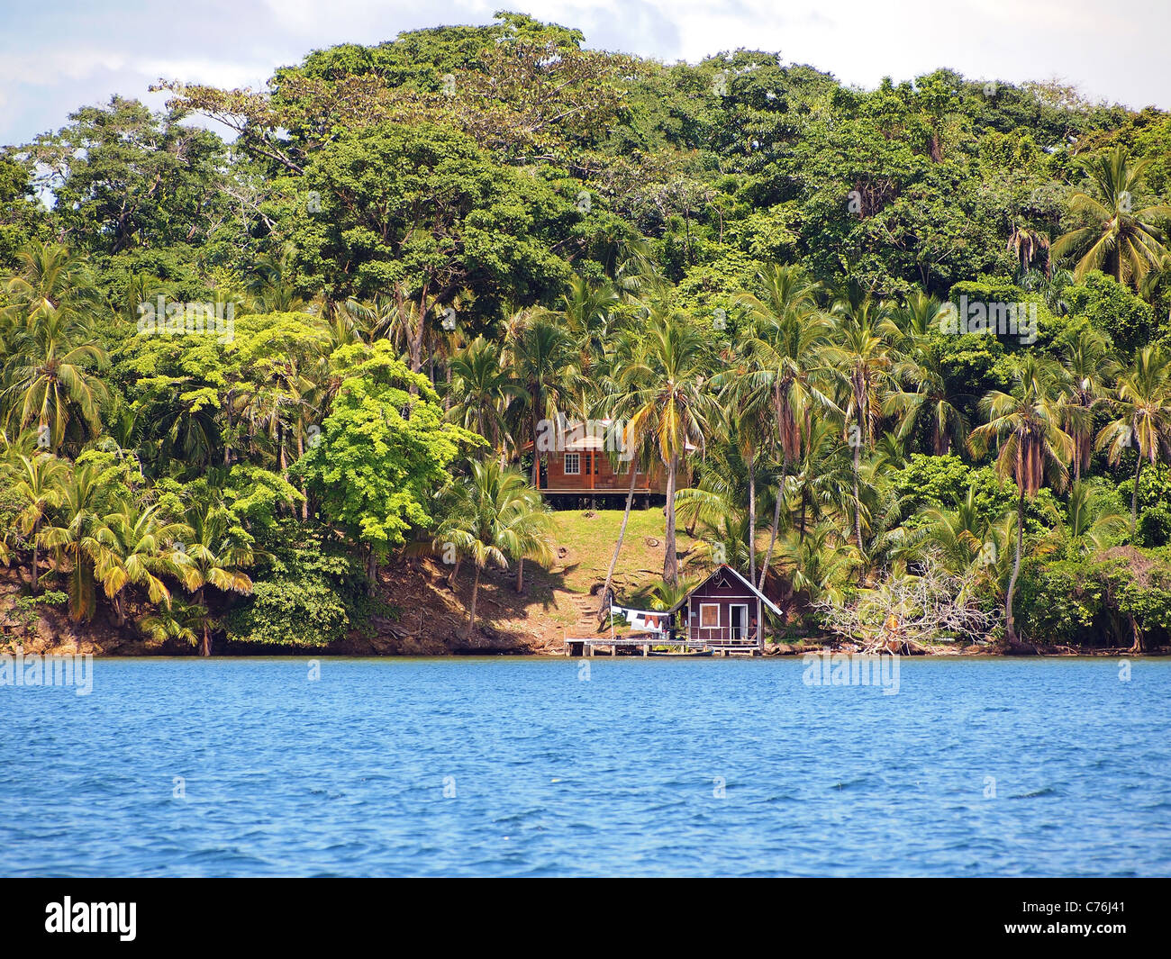 Karibisches Haus und Hütte mit Kokosnüssen Bäume im Archipel von Bocas del Toro, Panama Stockfoto