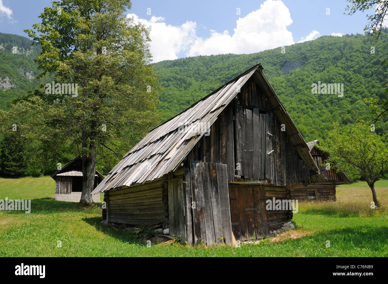Traditionelle hölzerne Hirten Hütten in den Julischen Alpen, Voje-Tal, Nationalpark Triglav, Sloweniens, Juli. Stockfoto