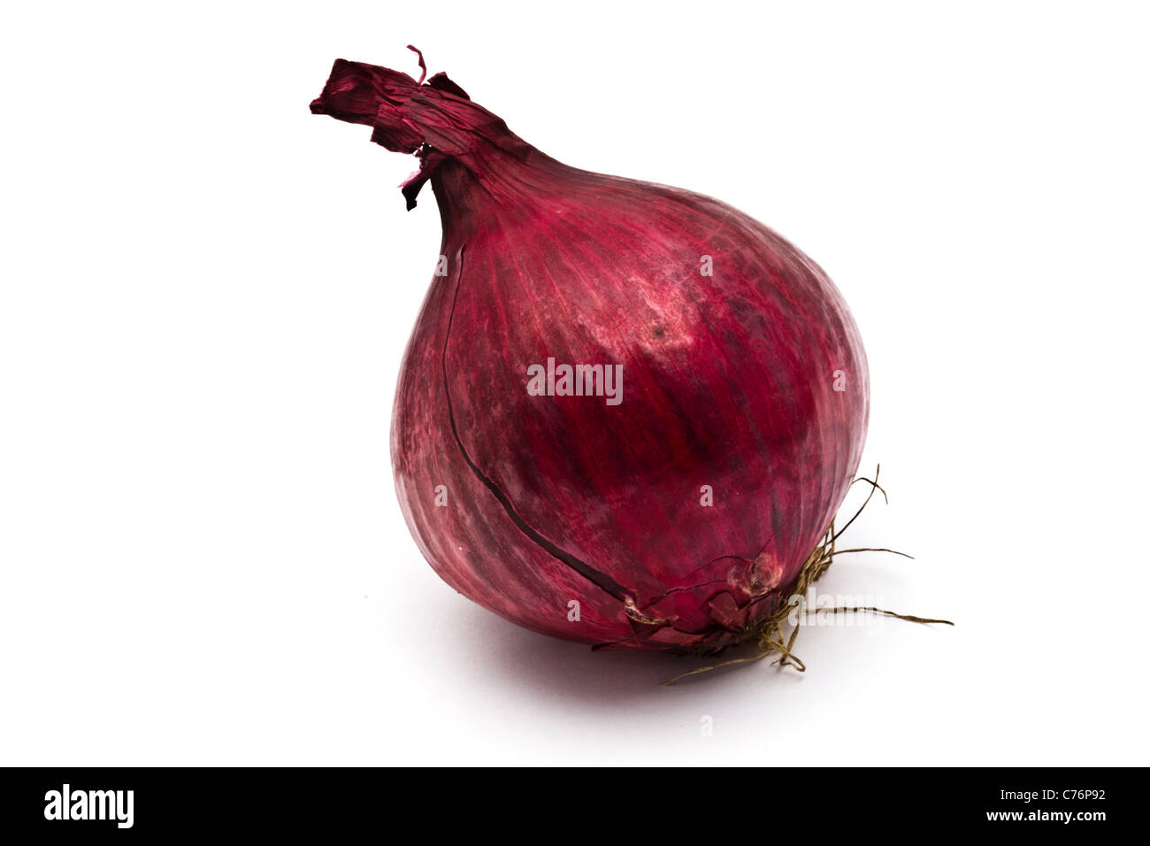 Rote Zwiebel Closeup auf weißem Hintergrund Stockfoto