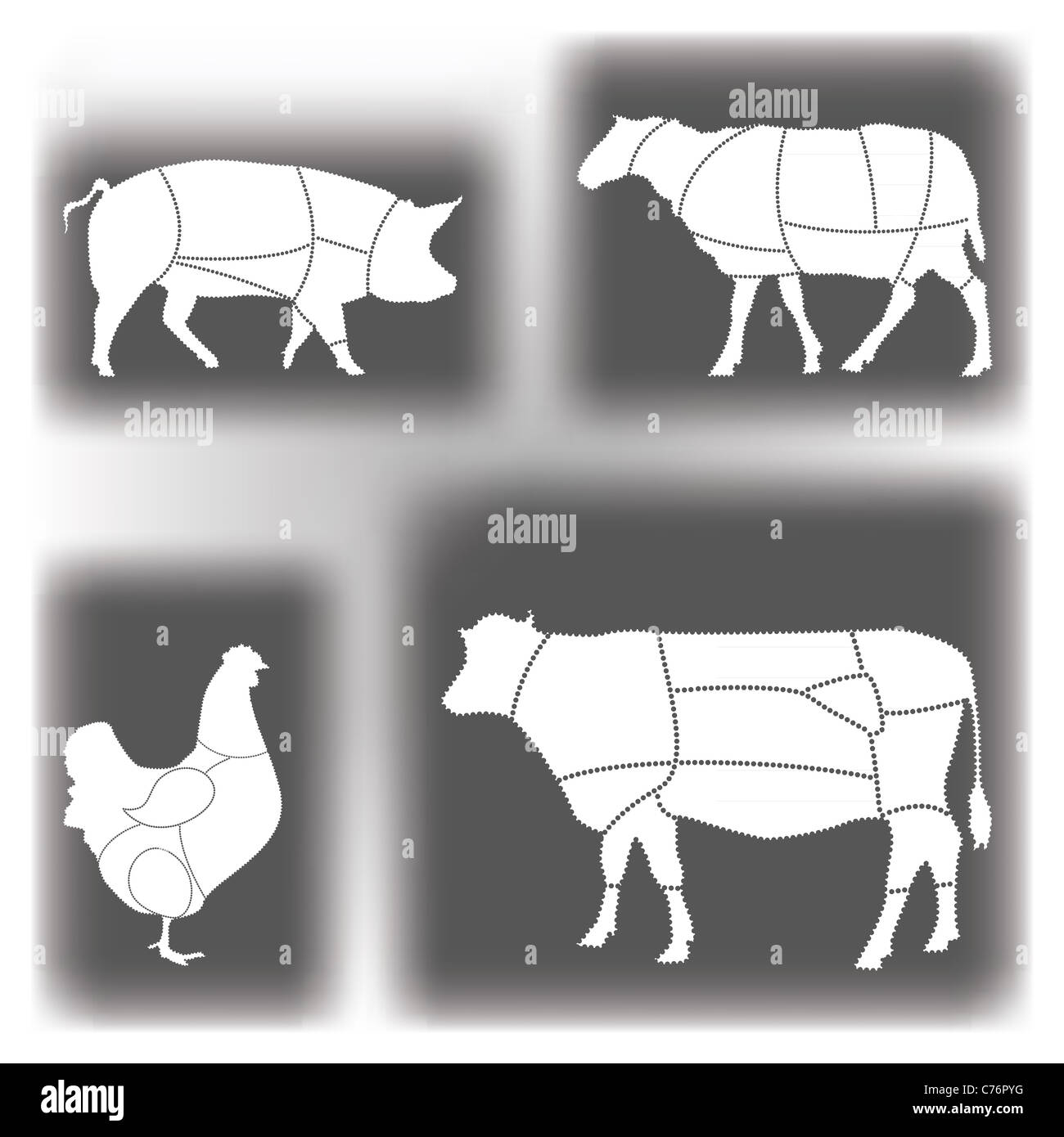 Fleisch-Diagramme Stockfoto