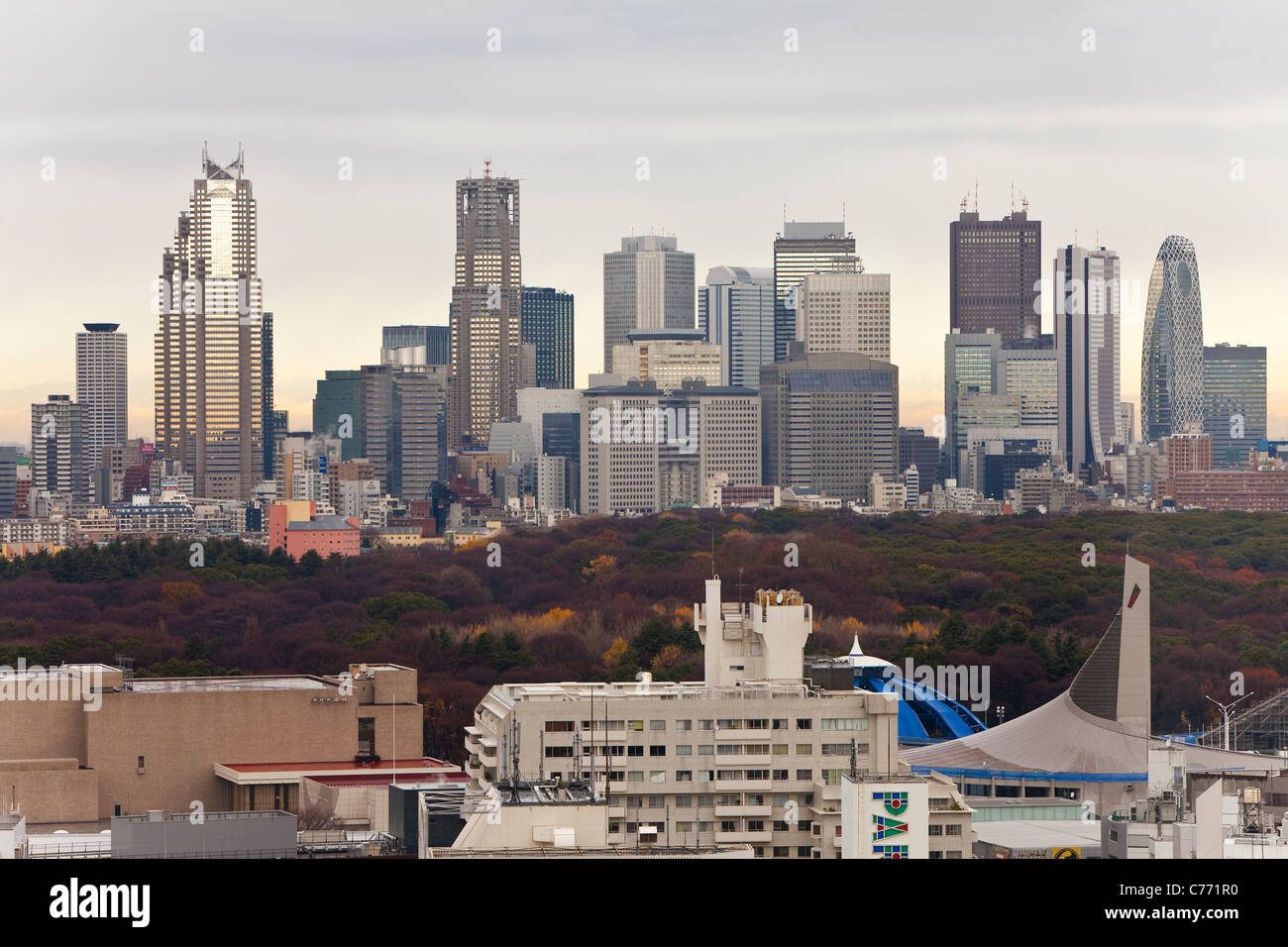 Asien, Japan, Tokio, Shinjuku Skyline von Shibuya - erhöhte betrachtet Stockfoto