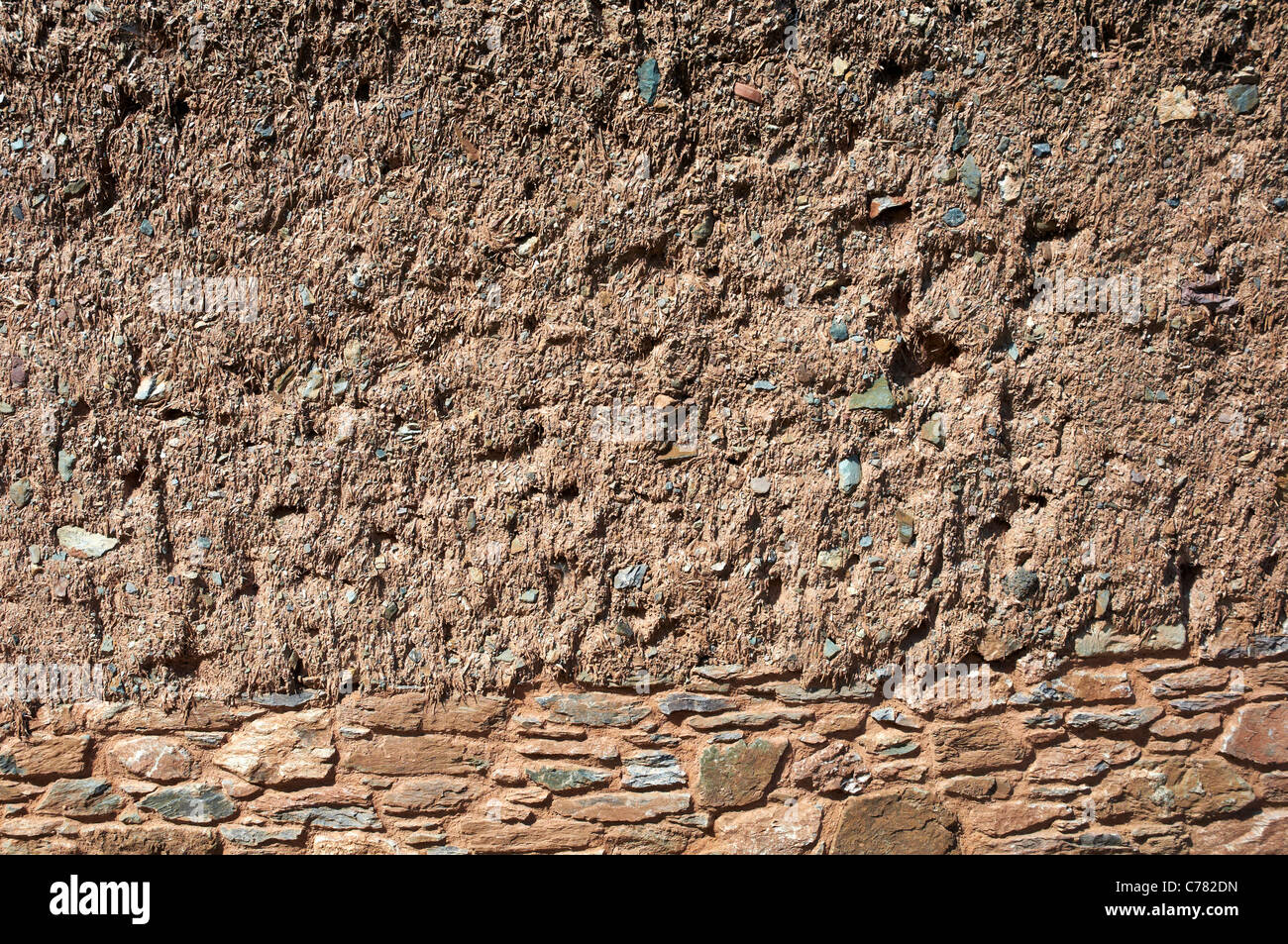 Devon Cob Wand über einem steinernen Grundmauern. Cobb besteht aus Lehm, Sand, Stroh, Wasser und Erde ähnlich wie Adobe. Stockfoto
