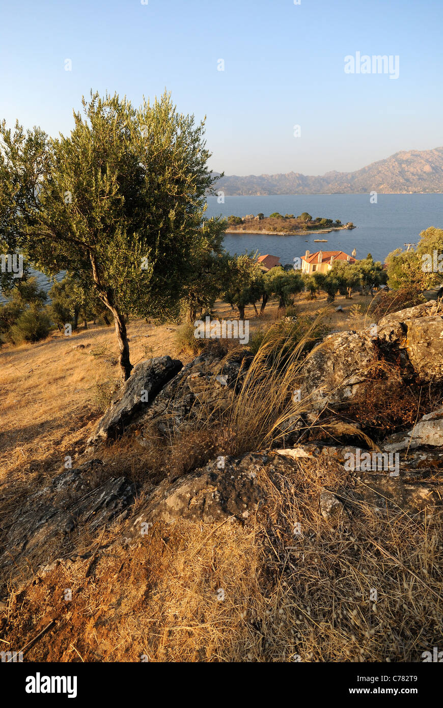 BAFA Goelue, See Bafa, Camici Goelue mit Kapıkırı Insel, Provinz Muğla, Aydın, südliche Ägäis-Küste, Europa, Mittlerer Osten, Asien Stockfoto