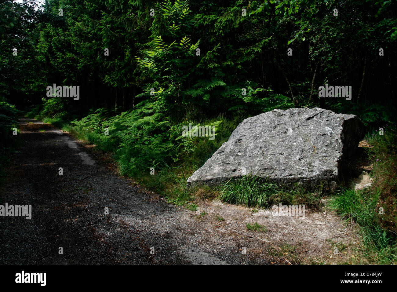 Dolmen: Bett der Fee Gione, Andaines Wald, in der Nähe von Bagnoles de Frankreichunter (Orne, Normandie, Frankreich). Stockfoto
