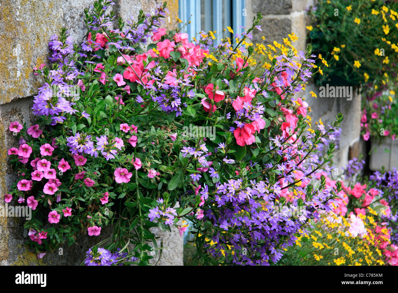 Töpfe mit Blumen rund um ein Fenster, Haus in einem kleinen Dorf in Frankreich, Saint-Fraimbault (Orne, Basse-Normandie, Frankreich). Stockfoto