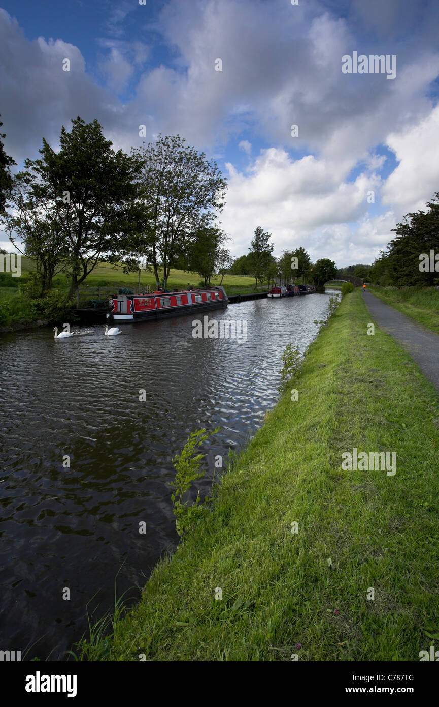 Barnoldswick, Lancashire, Leeds-Liverpool Kanal Stockfoto