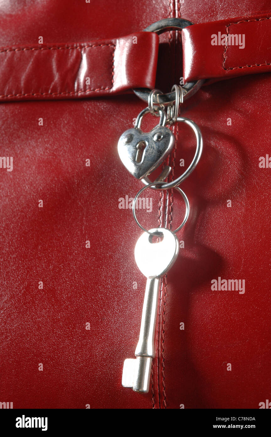 ein Metall Schlüsselbund auf einem Hintergrund von roten Haut Stockfoto