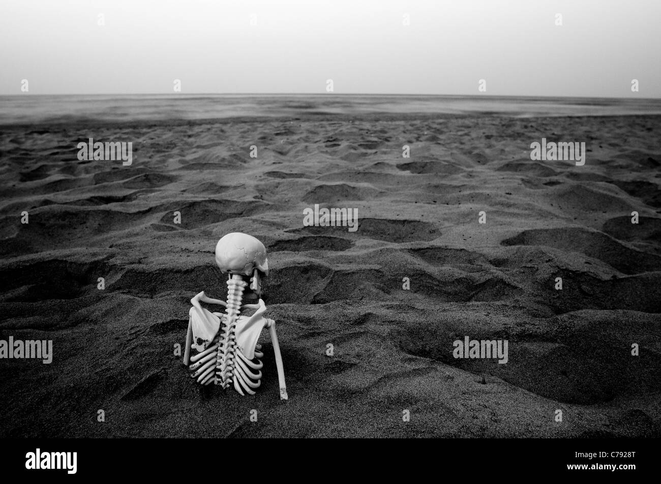 Skelett im Sand eingeschlossen Stockfoto