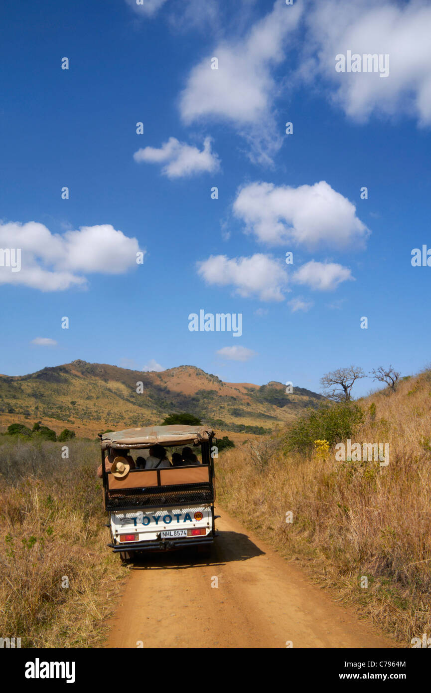 Safari-Fahrzeug im Hluhluwe-Umfolozi Game Reserve, KwaZulu-Natal, Südafrika. Stockfoto