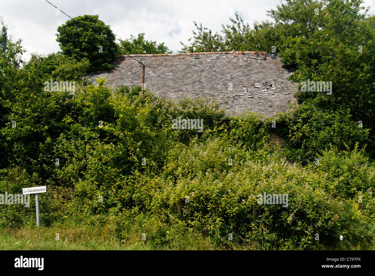 Altes Bauernhaus aufgegeben und überwuchert (Mayenne, Pays De La Loire, Frankreich). Stockfoto