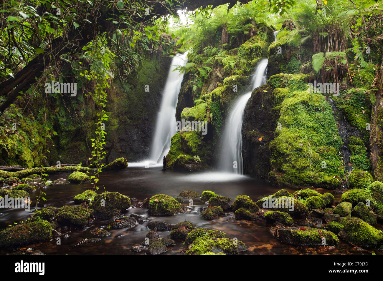 Wasserfall auf Dartmoor in Devon Stockfoto