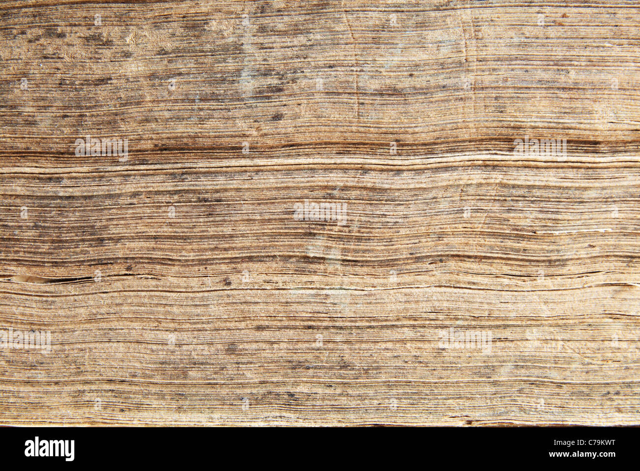 die abgenutzten Kanten der Seiten eines alten antiken Buches Stockfoto