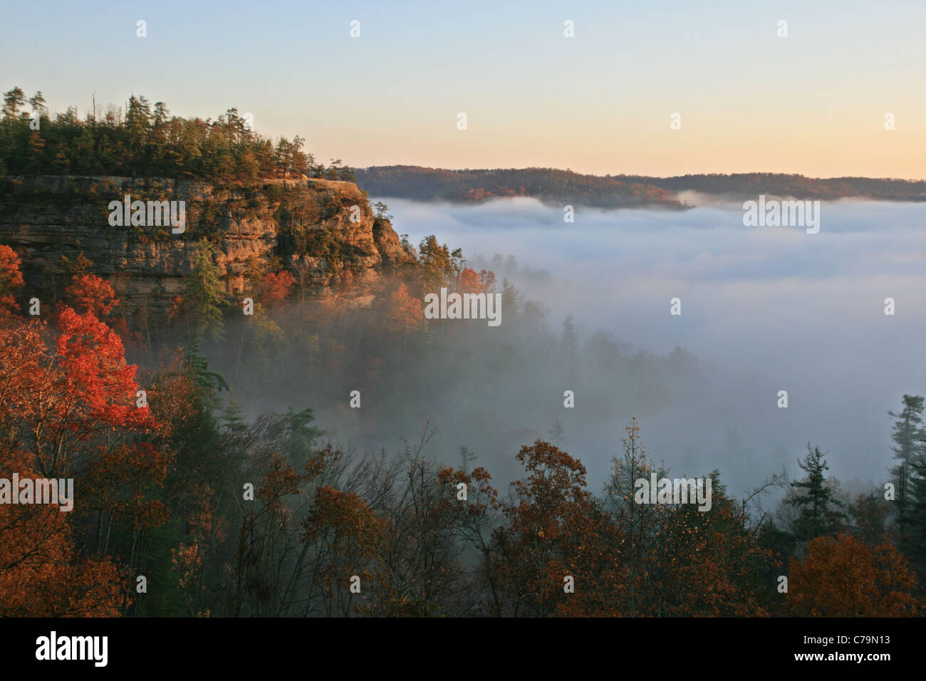 ein Nebel gefüllt-Tal im Herbst mit einem Nebel gehüllt Sandstein Felsen Stockfoto