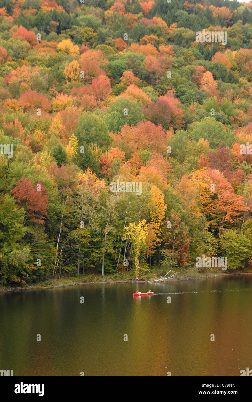 Paddler Zeile entlang der Küste bei Herbstlaub in Vermont. Stockfoto