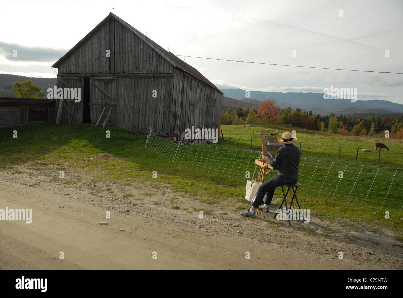 Eine Frau malt einen Sturz im Herbst landschaftlich in Vermont. Stockfoto