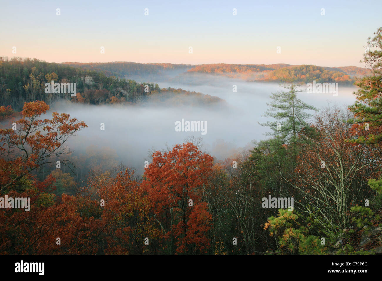 ein Nebel gefüllt-Tal im Herbst kurz nach Sonnenaufgang Stockfoto