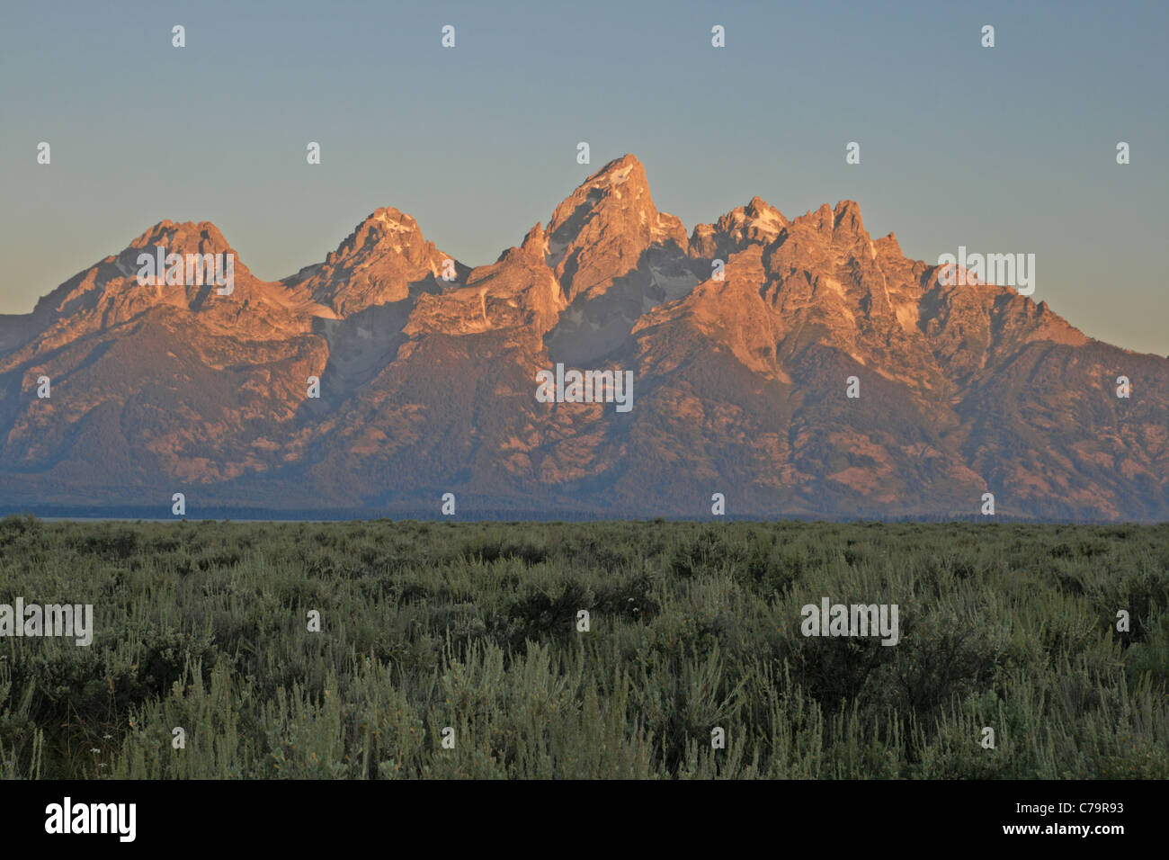Teton Bergkette von Antelope Flats kurz nach Sonnenaufgang Stockfoto