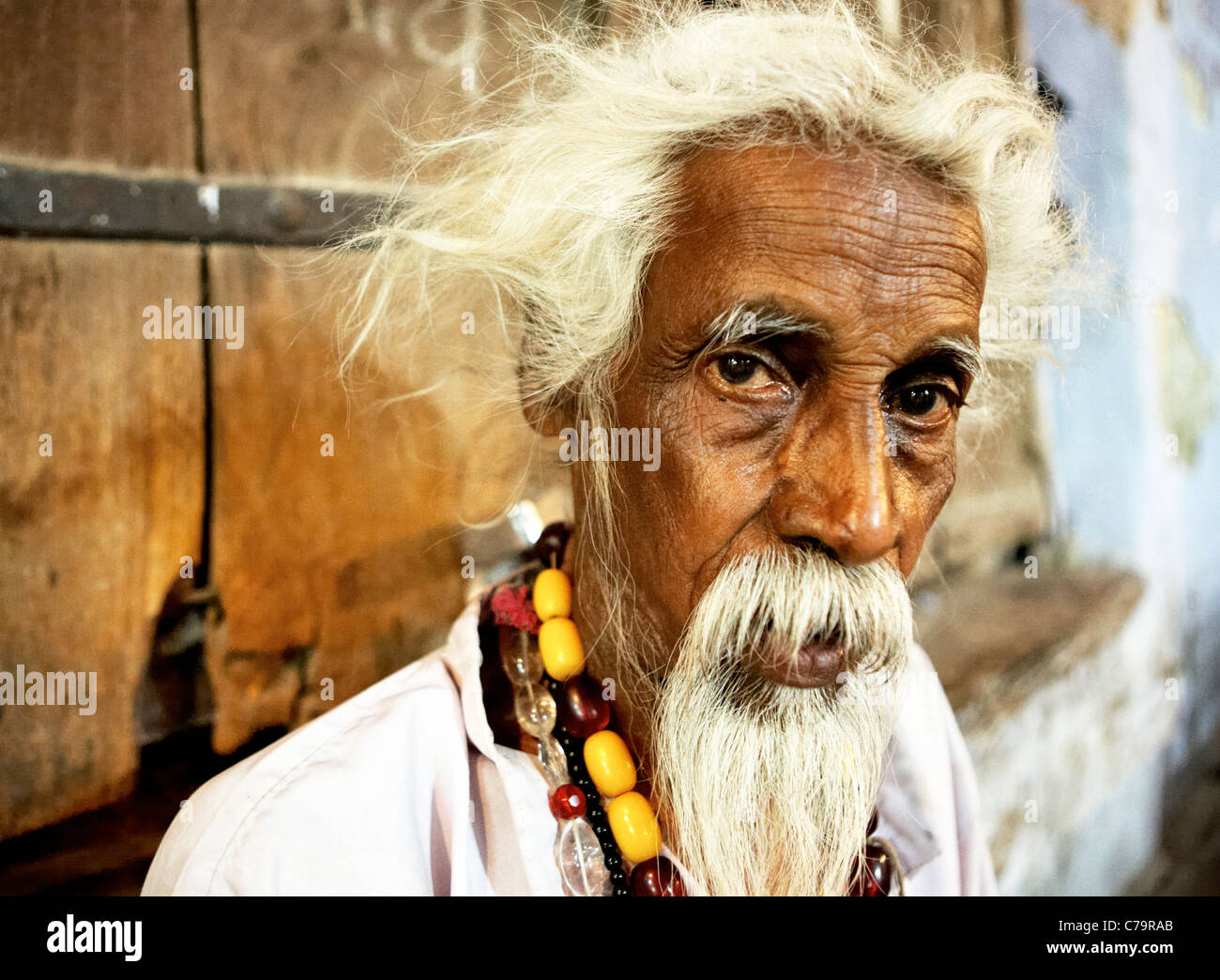 Indischen Sadhu am Holi Festival Mathura India Stockfoto