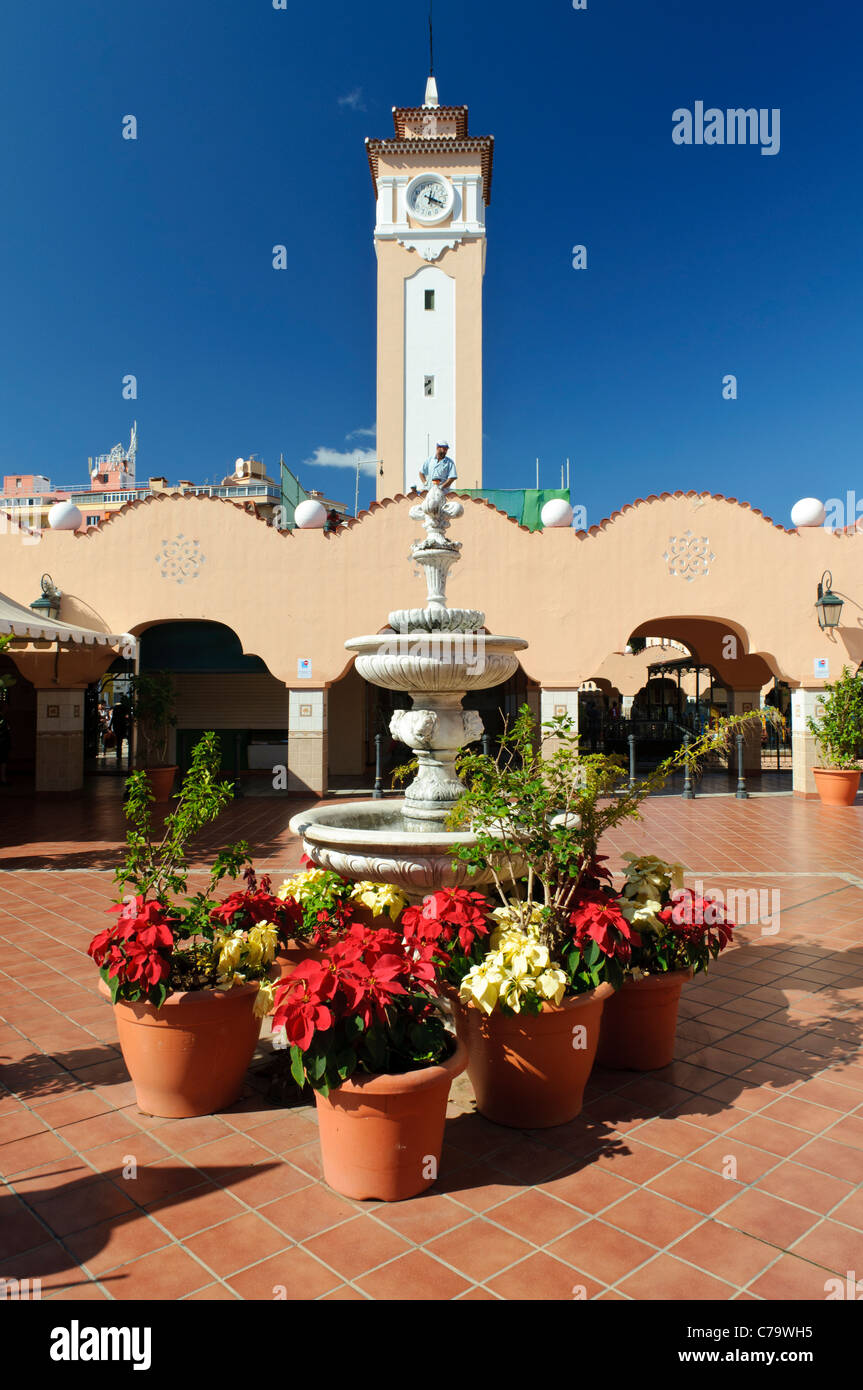 Mercado de Nuestra Señora de Africa, Santa Cruz de Tenerife, Teneriffa, Kanarische Inseln, Spanien, Europa Stockfoto