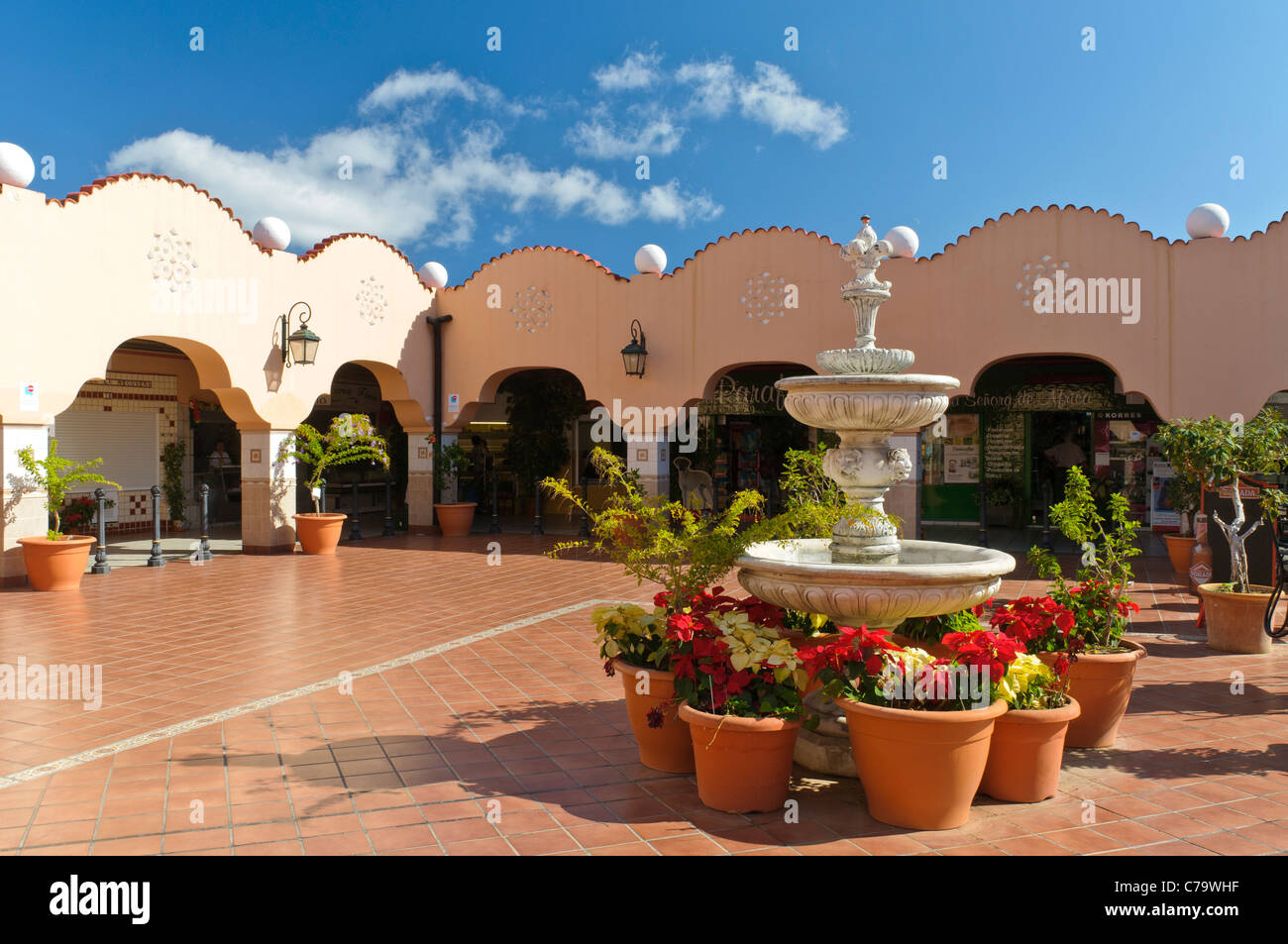 Mercado de Nuestra Señora de Africa, Santa Cruz de Tenerife, Teneriffa, Kanarische Inseln, Spanien, Europa Stockfoto