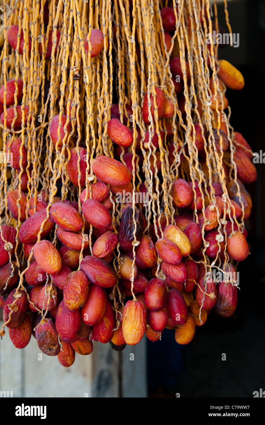 Frische Datum Früchte hängen auf den Stielen auf einem Markt in der Westbank palästinensischen Stadt Jericho. Stockfoto