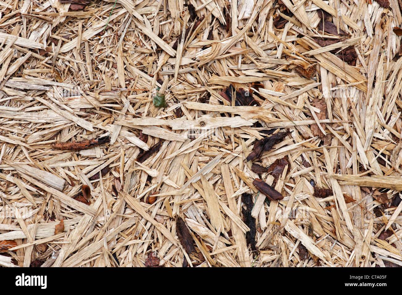 Zerkleinerte Holz auf einem Wald Weg verwendet. Großbritannien Stockfoto