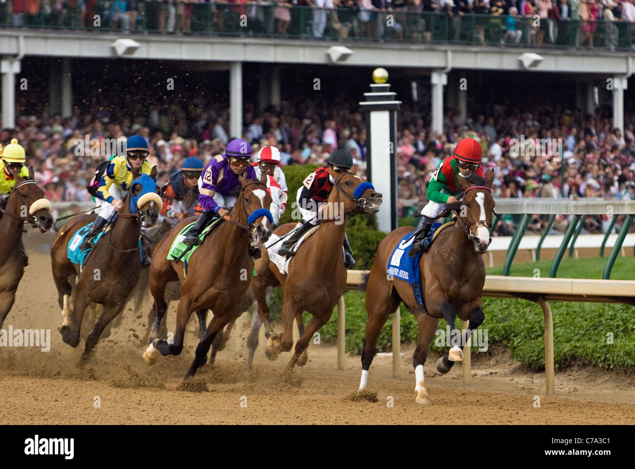 Pferde die ersten Runden drehen in 2011 Kentucky Oaks in Churchill Downs in Louisville, Kentucky Stockfoto