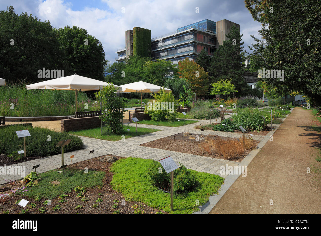 Botanischer Garten Und Theoretikum Mit Neurobiologie der Ruprecht-Karls-Universität in Heidelberg, Baden-Württemberg Stockfoto