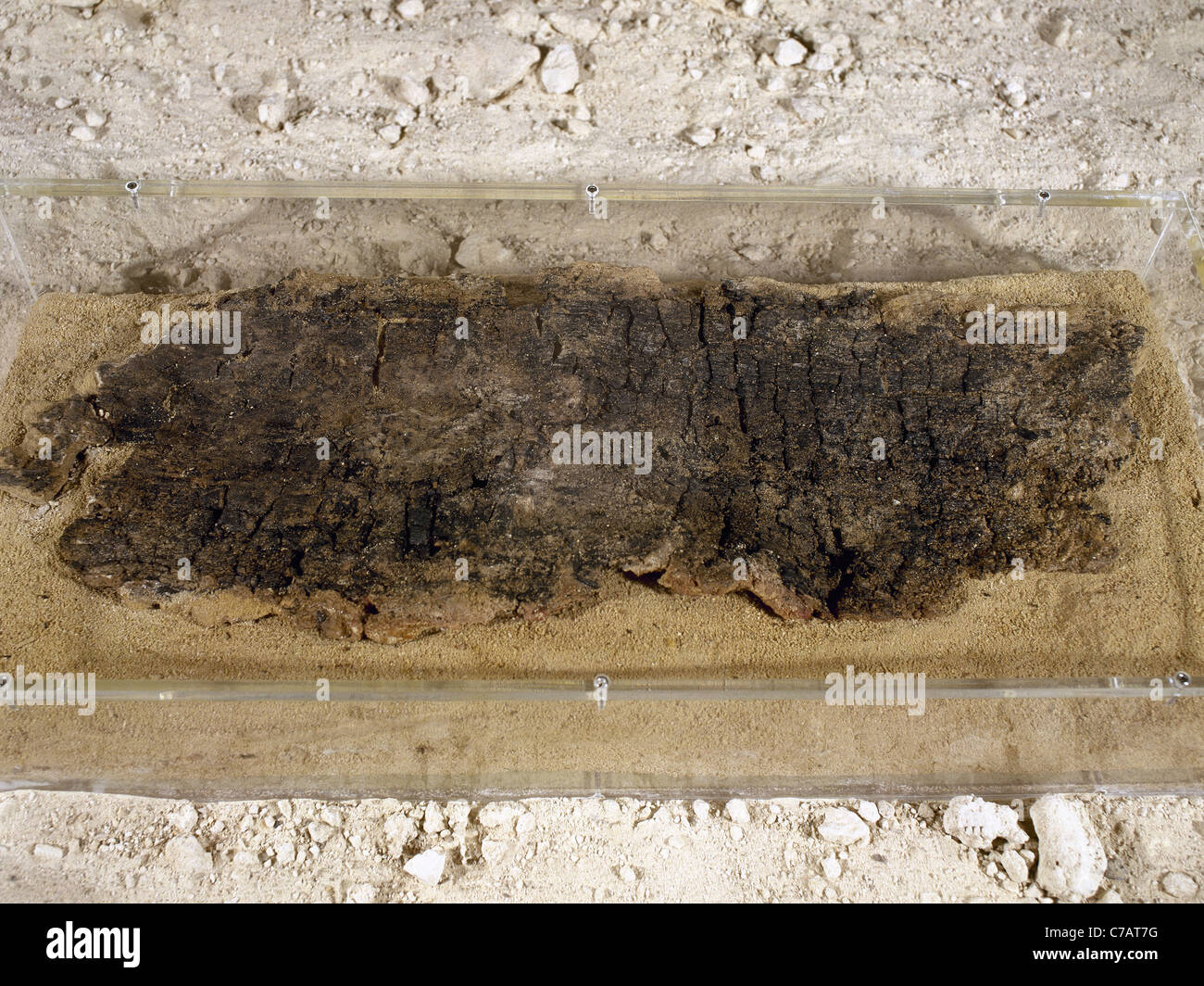 Tablett aus Holz. C. 48000 BC. von Abris Abric Romani. Mittleren Paläolithikum. Capellades. Katalonien. Spanien. Stockfoto