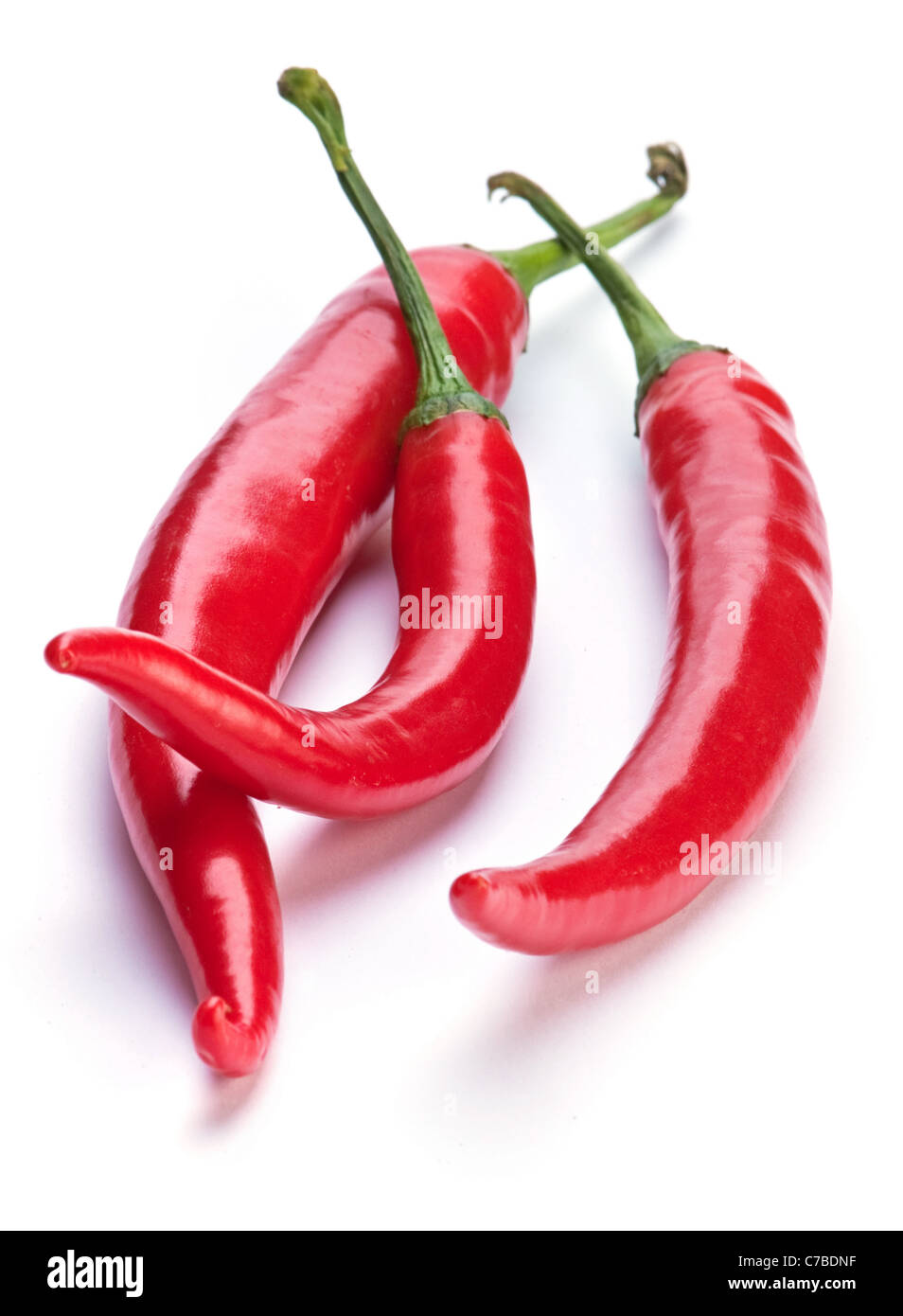 Chili-Paprika-Gemüse auf weißem Hintergrund Stockfoto