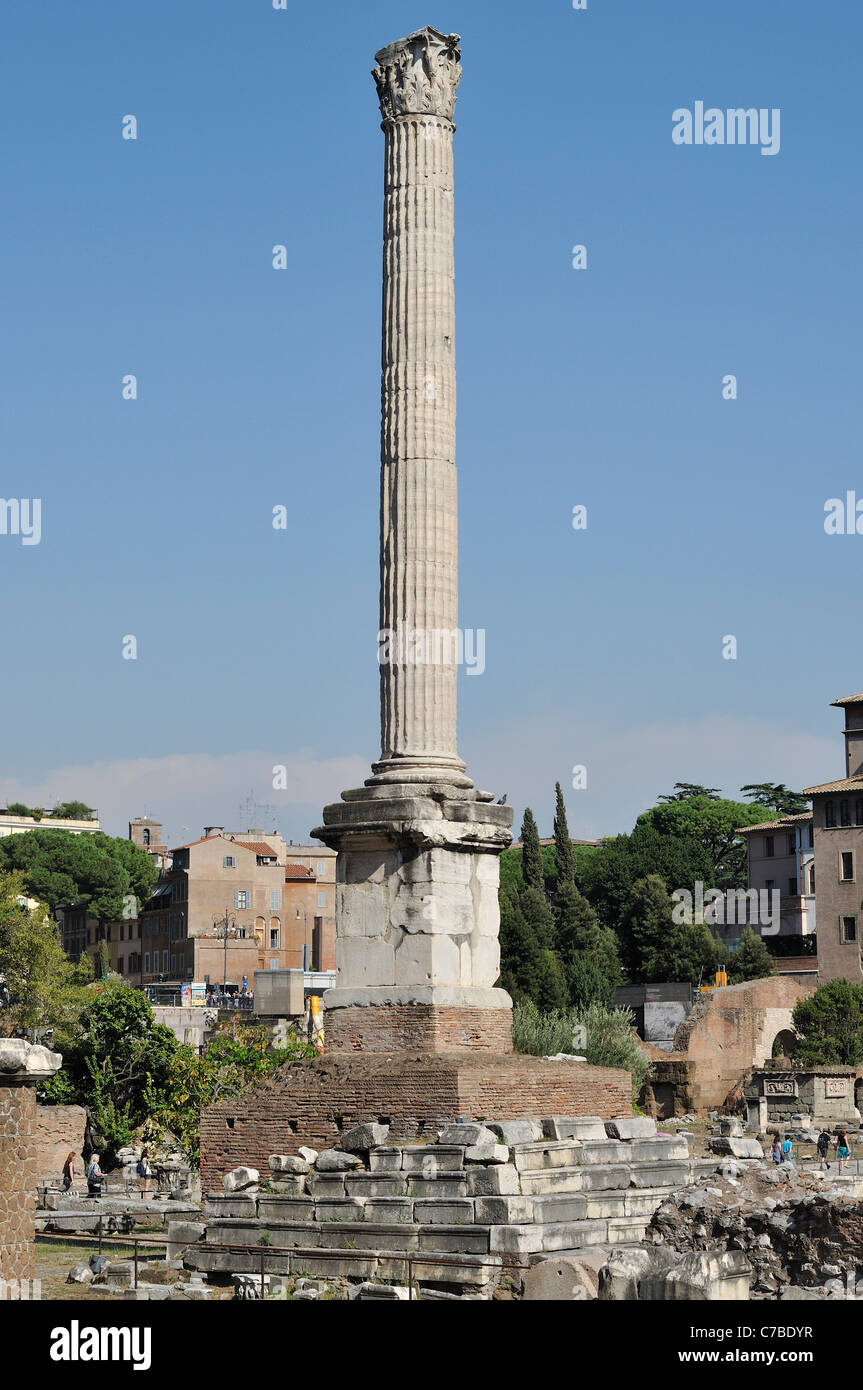 Rom. Italien. Spalte des Phokas, Forum Romanum (Foro Romano). 608 n. Chr. errichtet. Stockfoto