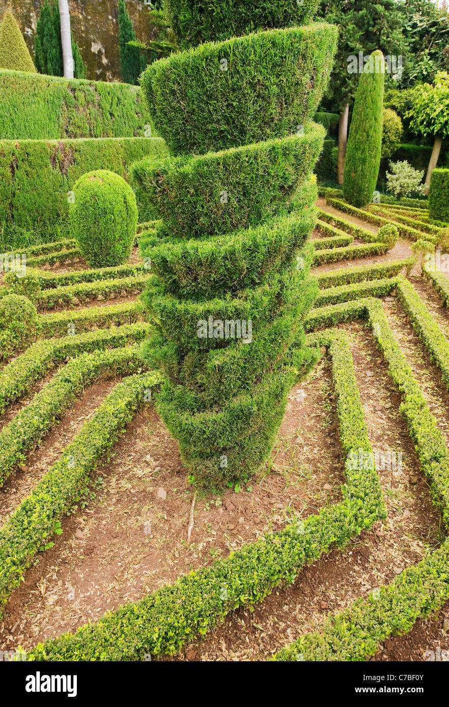 Formschnitt-Hecken, Botanischer Garten, Funchal, Madeira Stockfoto