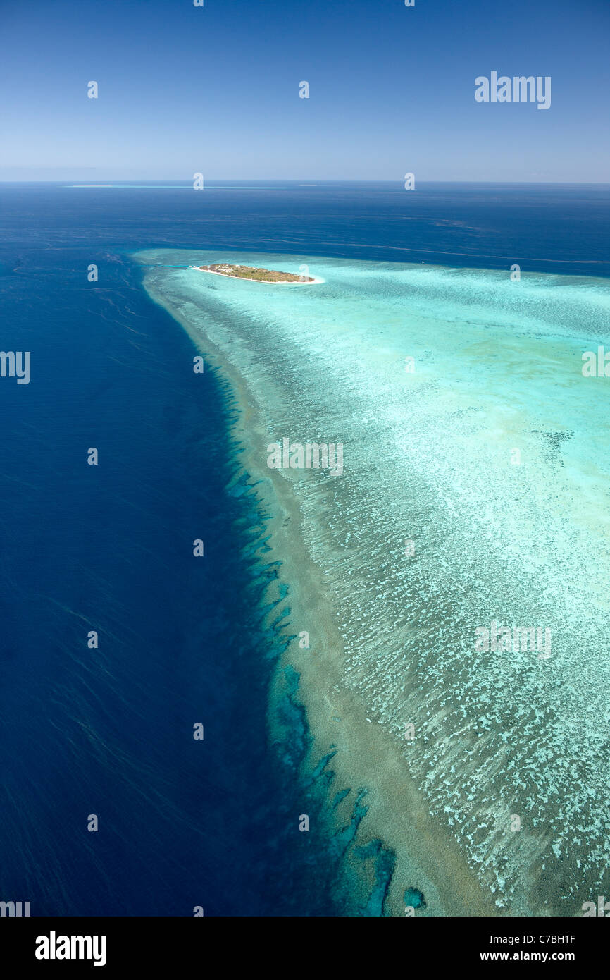 Heron Island mit Plattform-Riff von oben Schnüre von den Korallen Laichen Great Barrier Reef Marine Park zum UNESCO-Weltkulturerbe Stockfoto