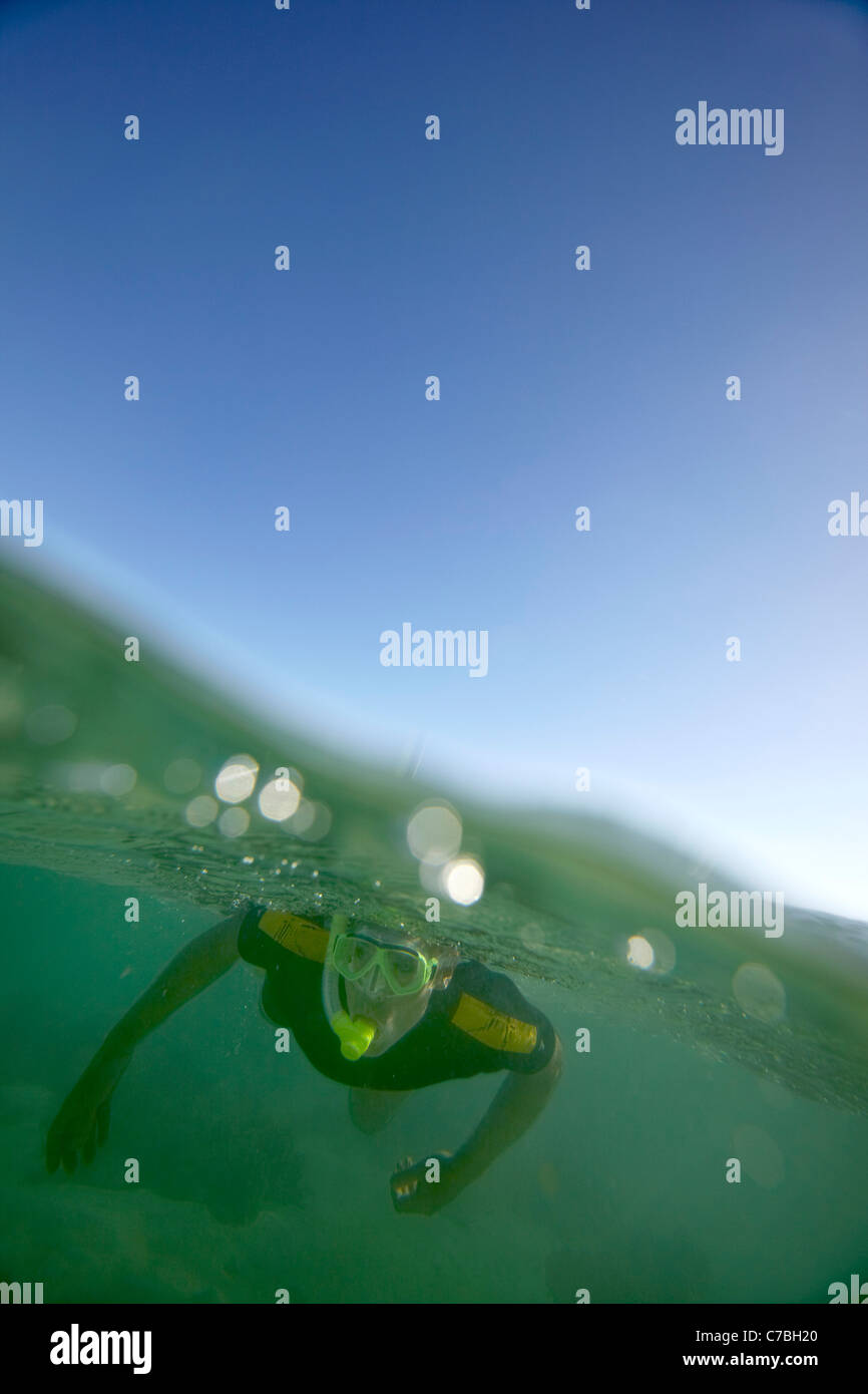 Schnorchler in der Nähe von Heron Island Ostteil ist Bestandteil der Capricornia Cays Nationalpark Great Barrier Reef Marine Park UNESCO Wor Stockfoto