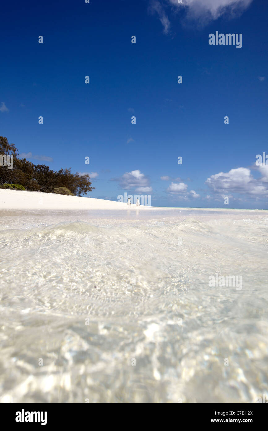Wasser vor Heron Island Ostteil ist Teil des Capricornia Cays Nationalpark Great Barrier Reef Marine Park UNESCO Stockfoto