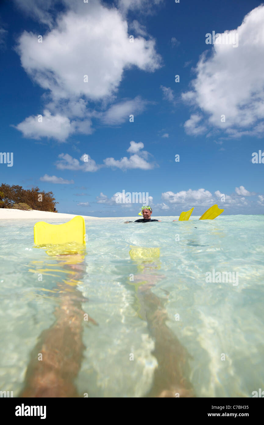 Schnorchler mit flossen in der Nähe von Heron Island Ostteil ist Bestandteil der Capricornia Cays National Park Great Barrier Reef Marine Park Stockfoto