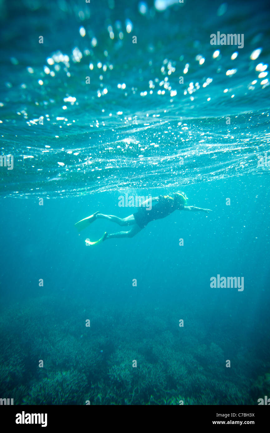 Taucher am Riff in der Nähe von Heron Island Ostteil ist Teil der Capricornia Cays Nationalpark Great Barrier Reef Marine Park UN Stockfoto