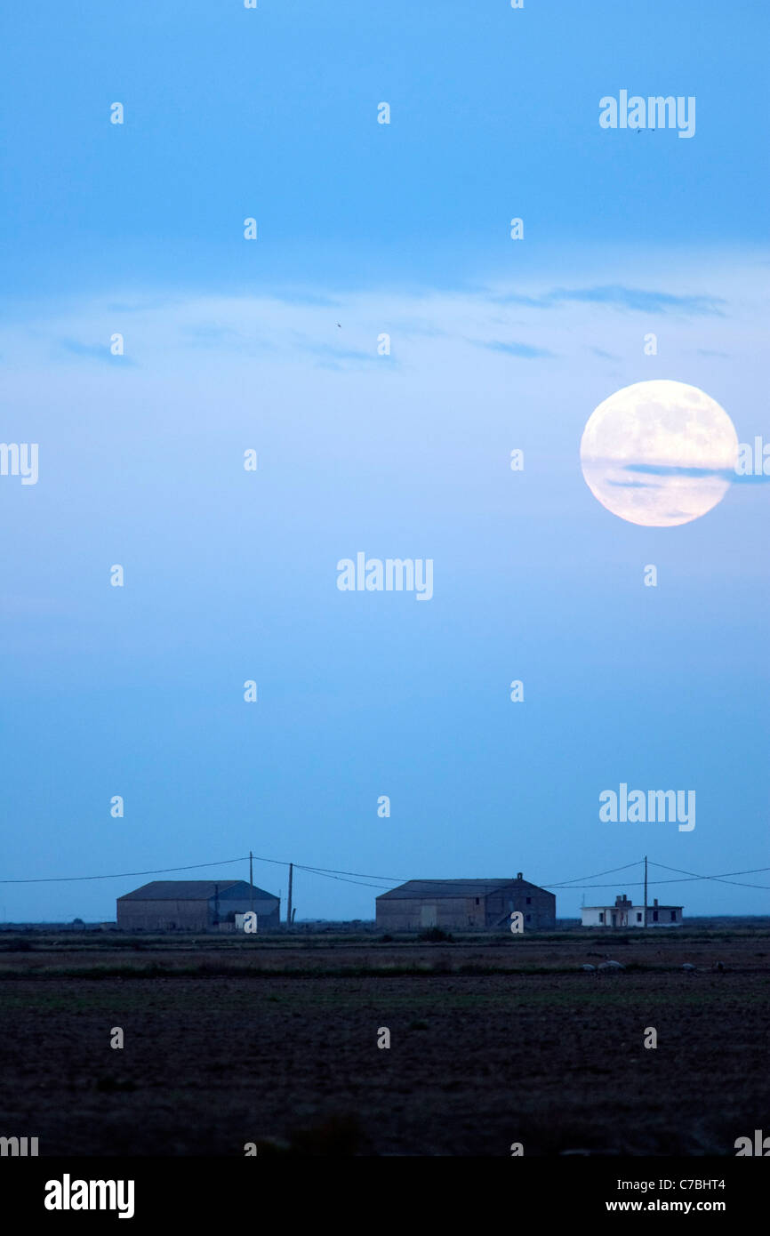 Vollmond über eine ländliche Landschaft, Aznalcazar, Spanien Stockfoto