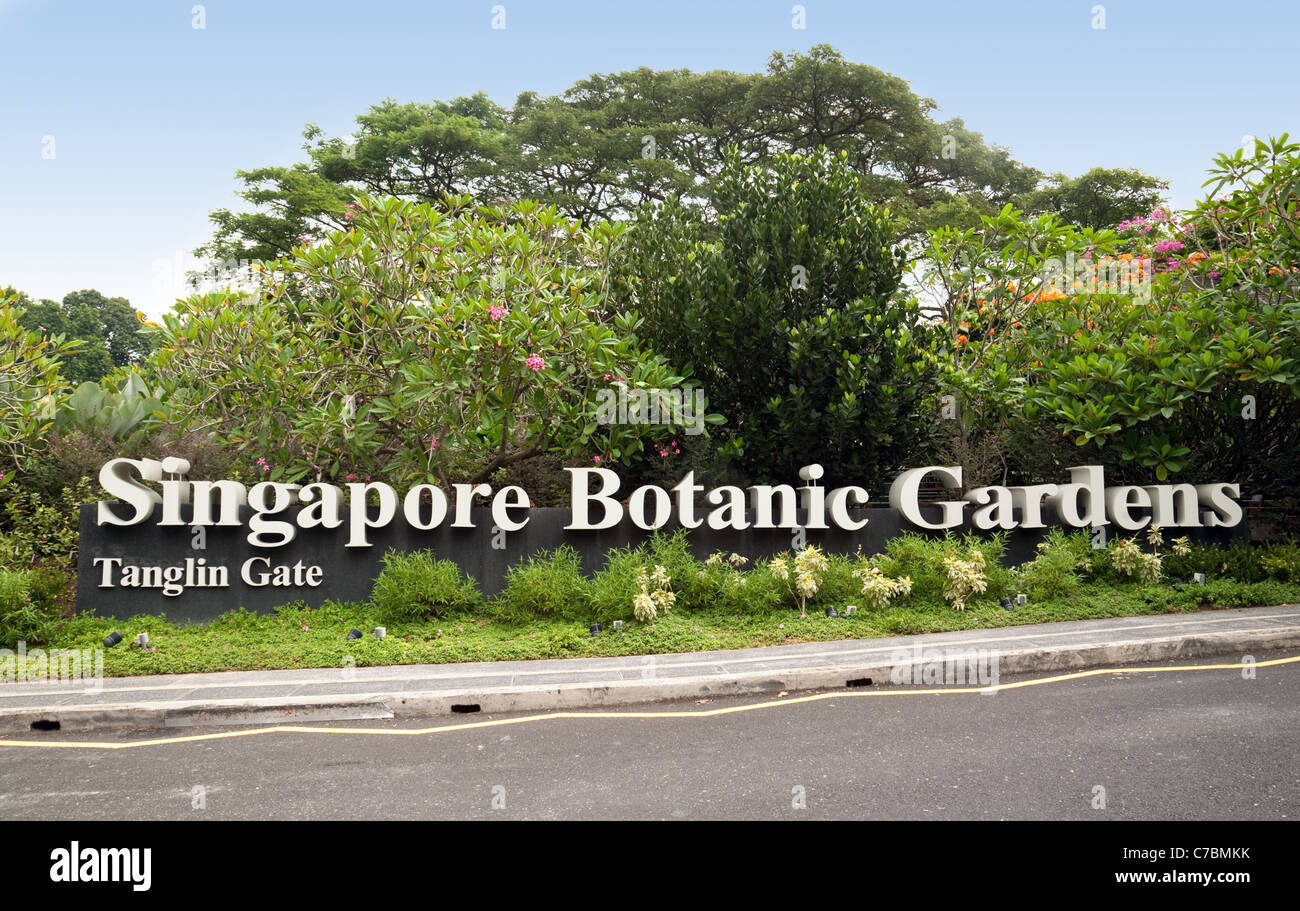 Botanic Gardens Singapore Stockfotos Botanic Gardens Singapore