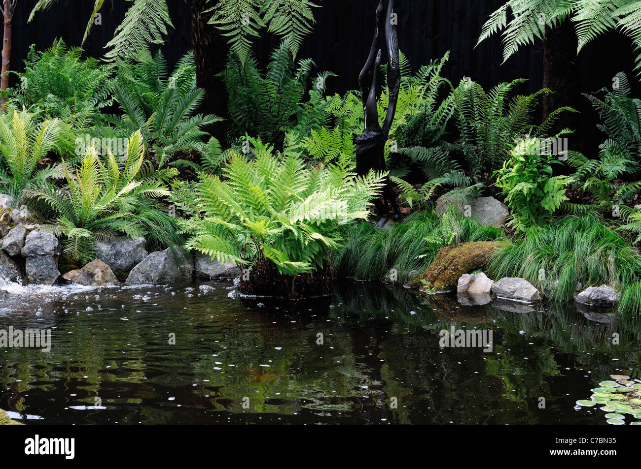 Farngarten gemischt Schatten schattige liebende Pflanzen neben Wasser Pool  Teich nassen Moorboden ruhigen ganz entspannt entspannende Umgebung  Stockfotografie - Alamy