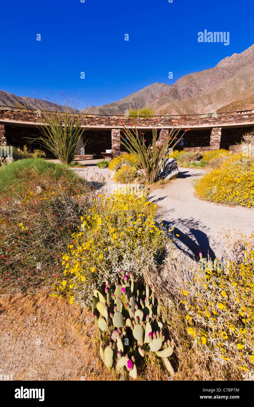 Wüste Garten am Visitor Center, Anza-Borrego Desert State Park, Kalifornien USA Stockfoto